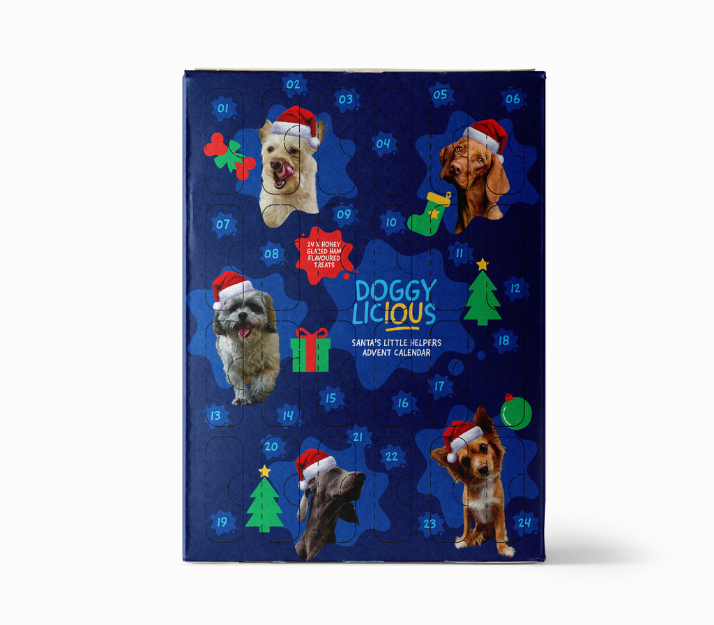 DOGGYLICIOUS ADVENT CALENDARS 500G