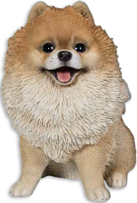 Pomeranian fish hot sale